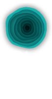 Logo footer Ruta Selva Urbana Puerto Morelos